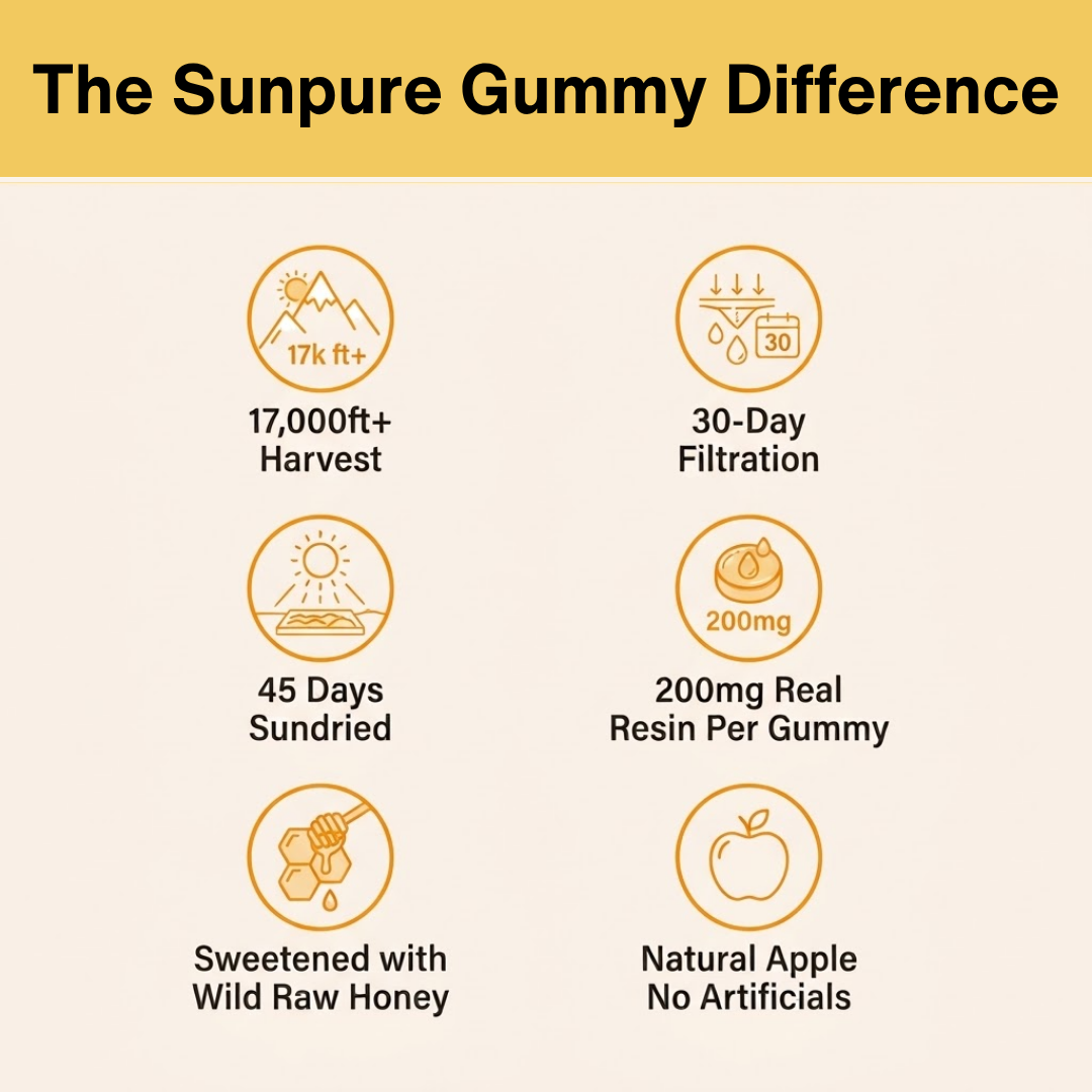 Shilajit Gummies – Sundried Himalayan