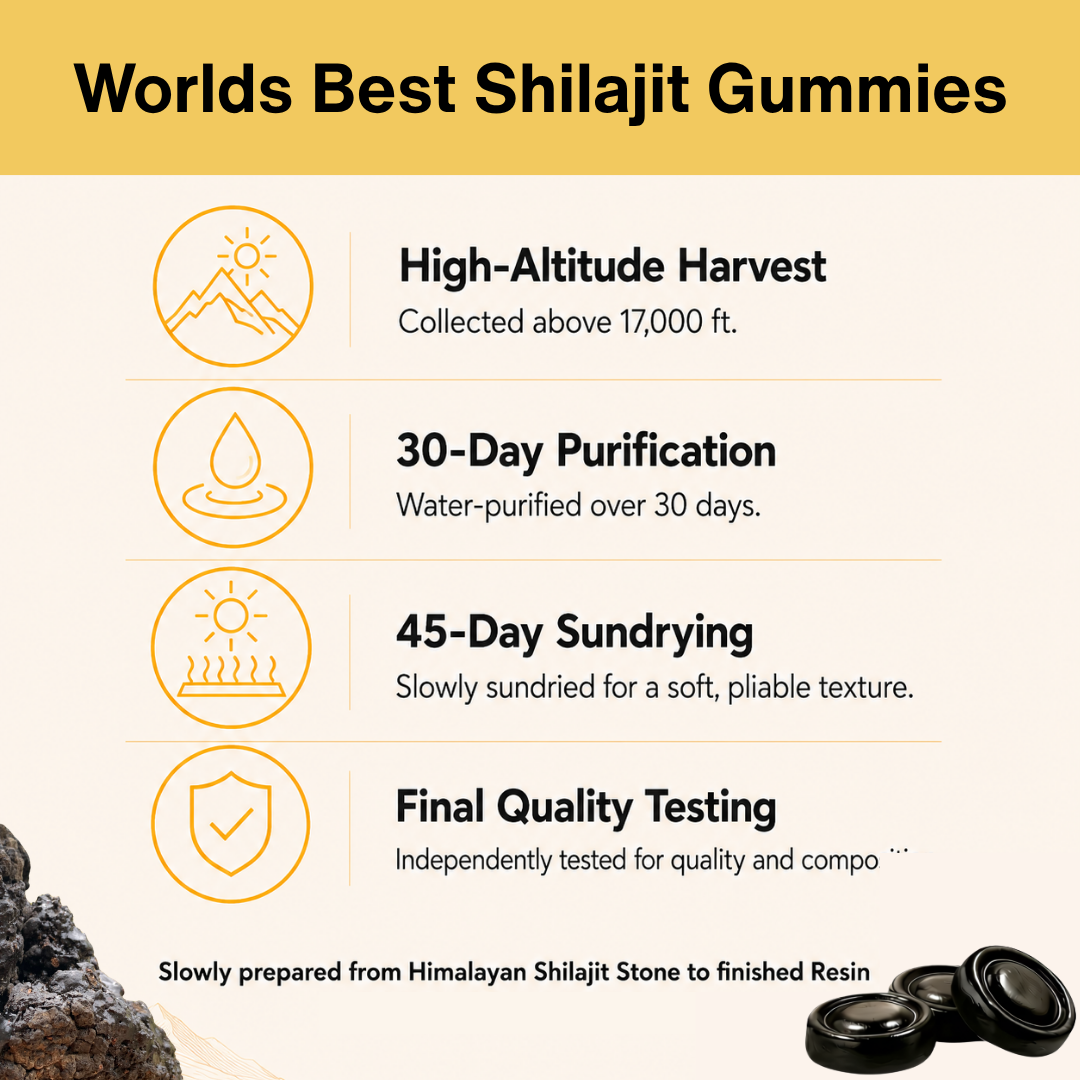 Shilajit Gummies – Sundried Himalayan